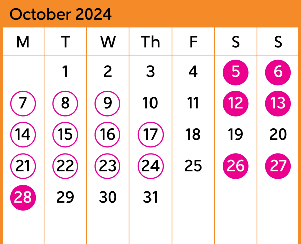 Hutt Valley Bus Replacement Calendar October